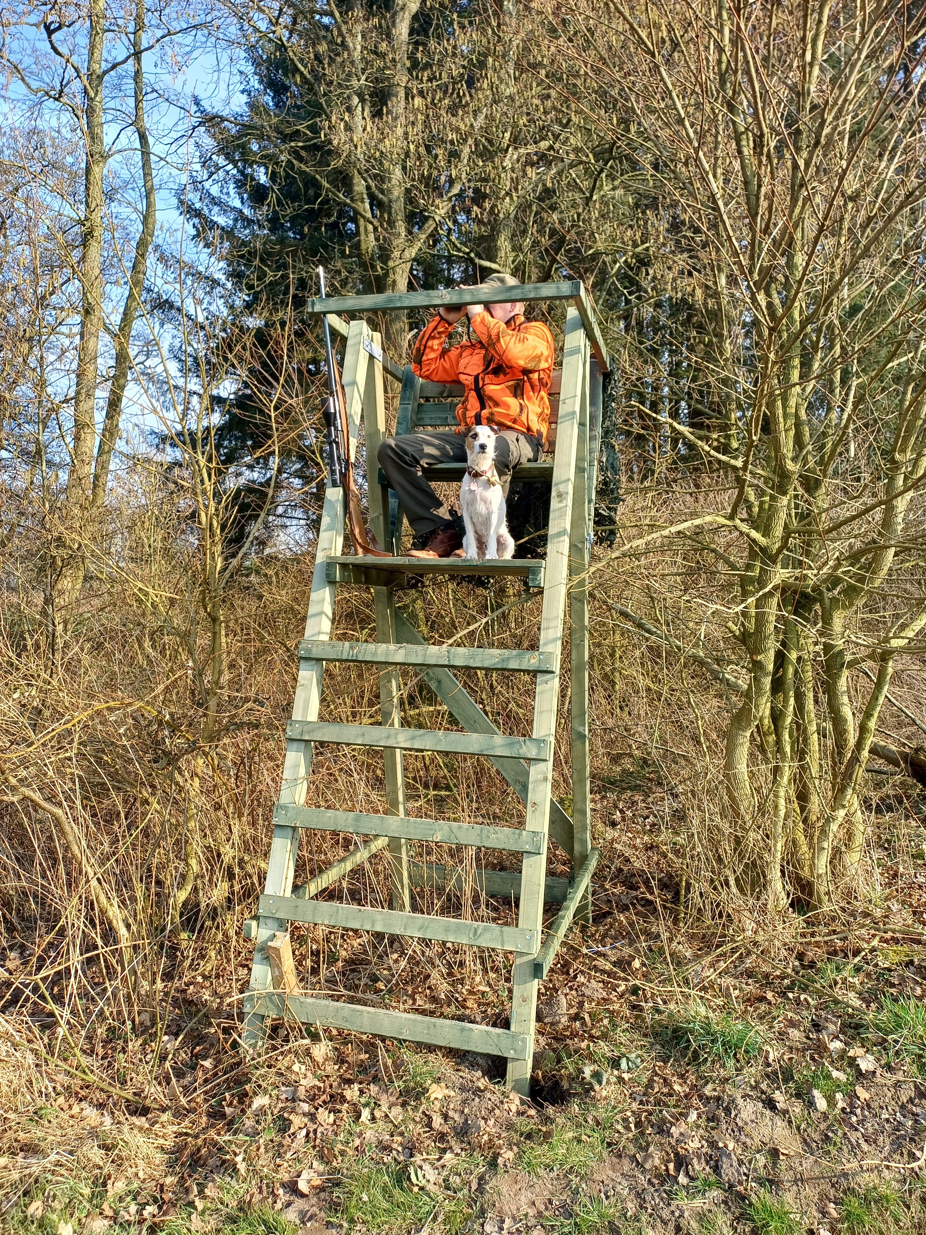 Ansitz- und Drückjagdleiter