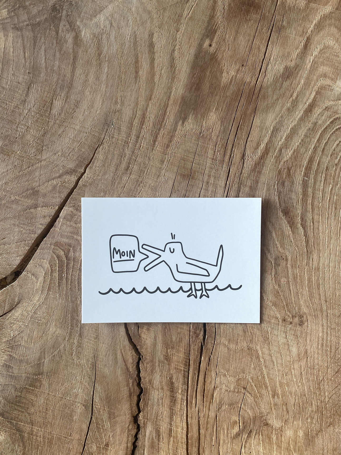 Postkarte Möwe